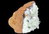 Pale Green Adamite Crystals - Durango, Mexico #65309-2